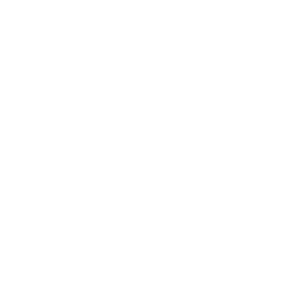 Hotline icon